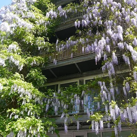 Pallazzo Alfonso Aix-la-Chapelle