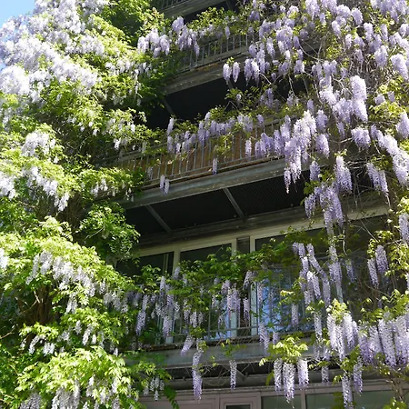 Pallazzo Alfonso Appartement *