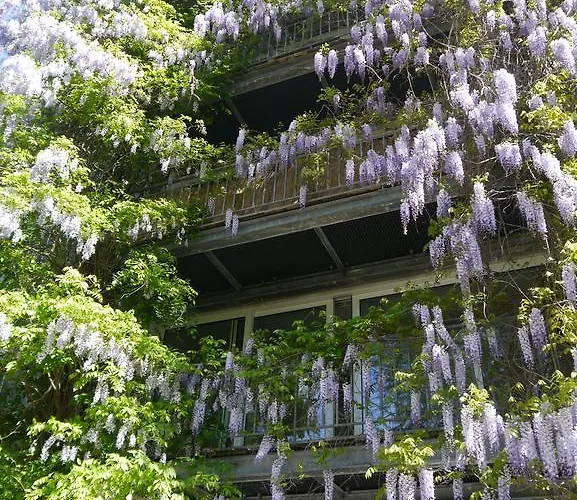 Pallazzo Alfonso Aquisgrano