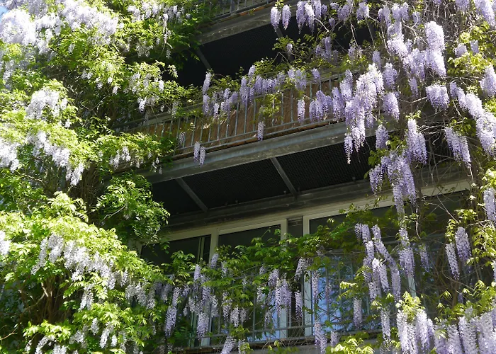 Pallazzo Alfonso Apartamento *