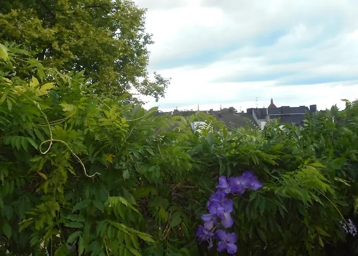 Pallazzo Alfonso Aquisgrana